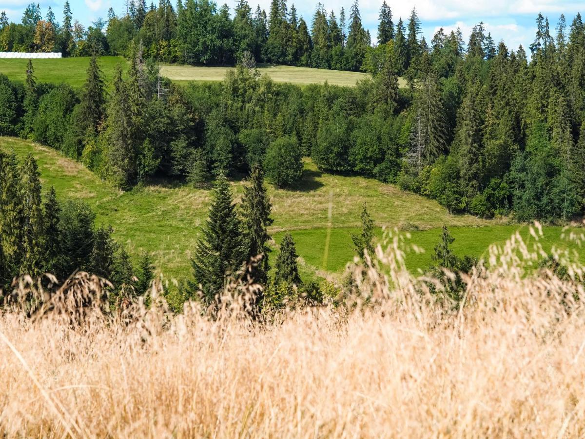 Owczarnia Tatry Villa Bukowina Tatrzańska Exteriör bild